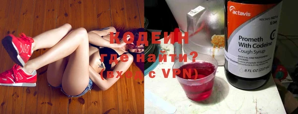 гашик Арсеньев