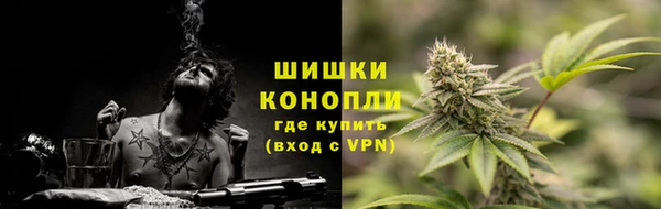 соль ск Алексеевка